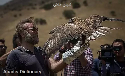 کیهان ملکی